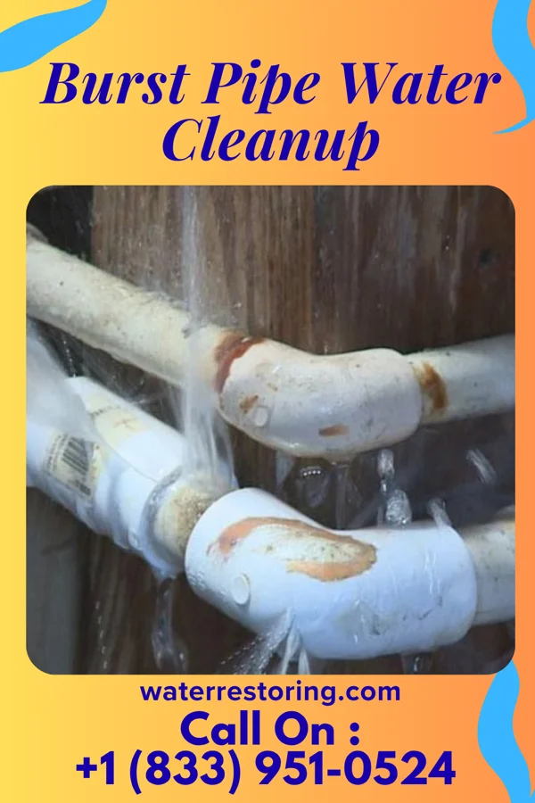 Burst Pipe Water Cleanup in Cooperstown, PA