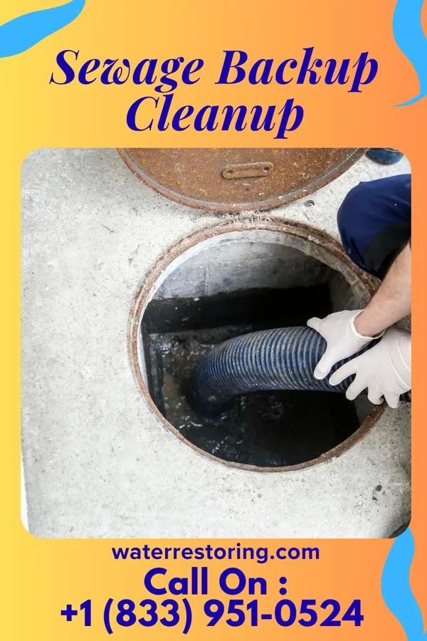 Sewage Backup Cleanup in Cooperstown, PA