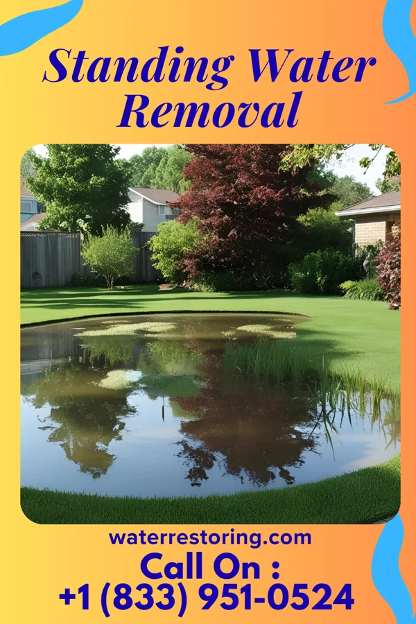 Standing Water Removal in Cooperstown, PA